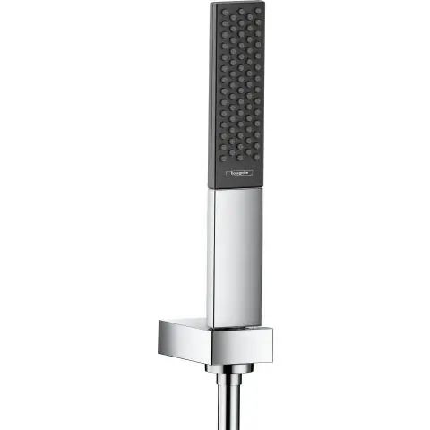 Hansgrohe Rainfinity 100 Handdusch Populär