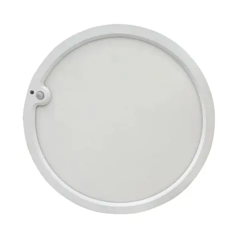 Billigare Aneta Lighting RING 15/300 PIR Plafond